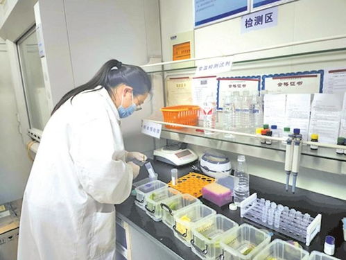 無錫農貿市場實現快檢全覆蓋，上半年檢測90多萬批次合格率超99%